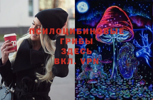 гидра Дмитров