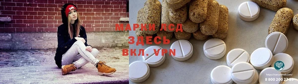 прущие грибы Медногорск