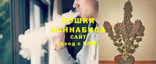 МДПВ Ленинск-Кузнецкий
