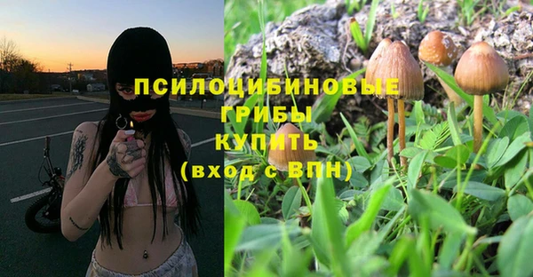 экстази Дмитриев