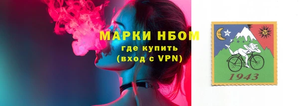прущие грибы Медногорск