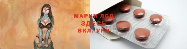 прущие грибы Медногорск