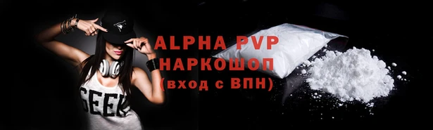 прущие грибы Медногорск