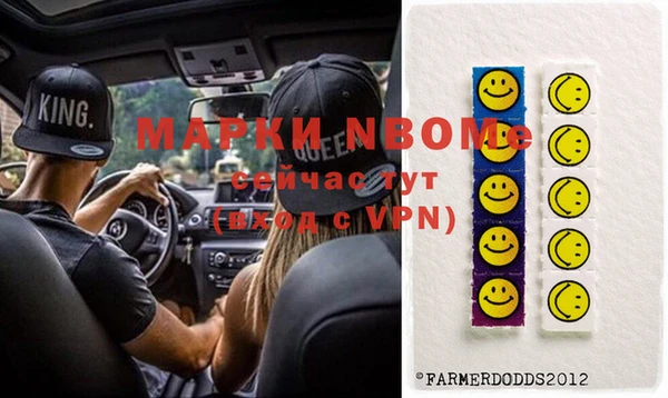 прущие грибы Медногорск