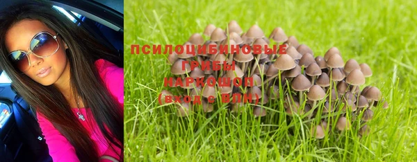 экстази Дмитриев