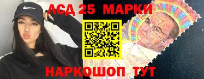 мдпв Жуковский