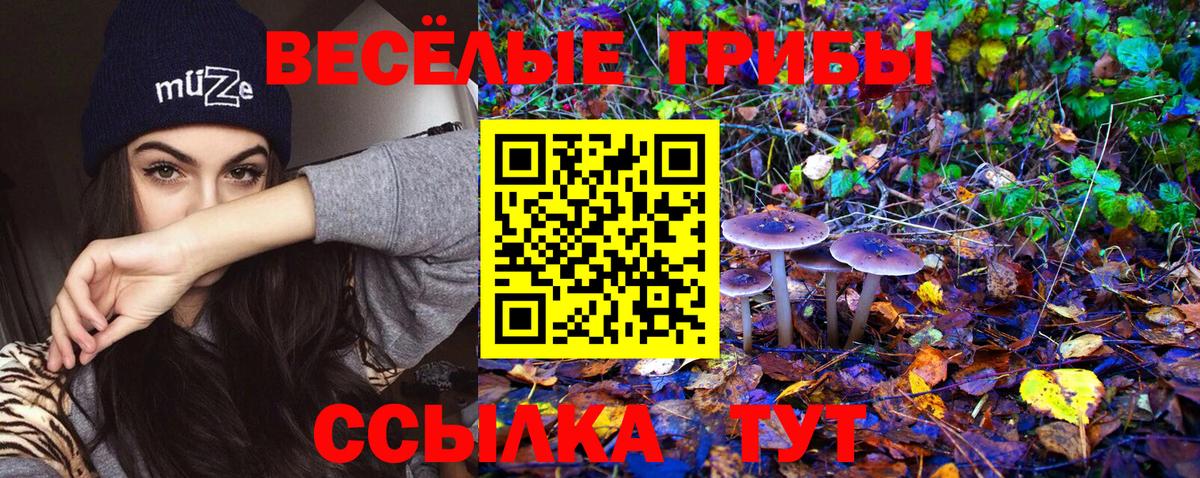 Псилоцибиновые грибы Psilocybine cubensis Наро-Фоминск