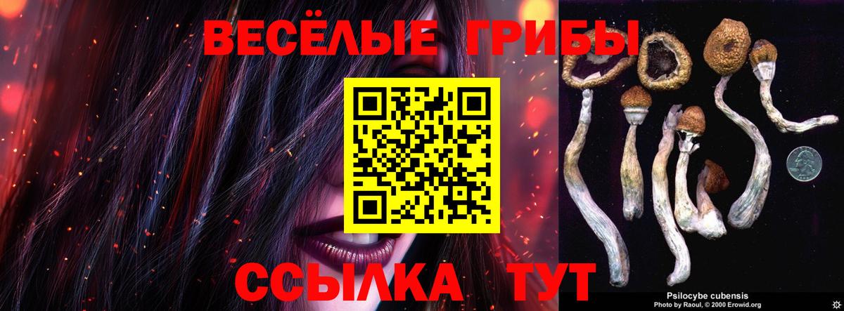 как найти наркотики  Галлюциногенные грибы Magic Shrooms  Наро-Фоминск  Псилоцибиновые грибы Psilocybe 